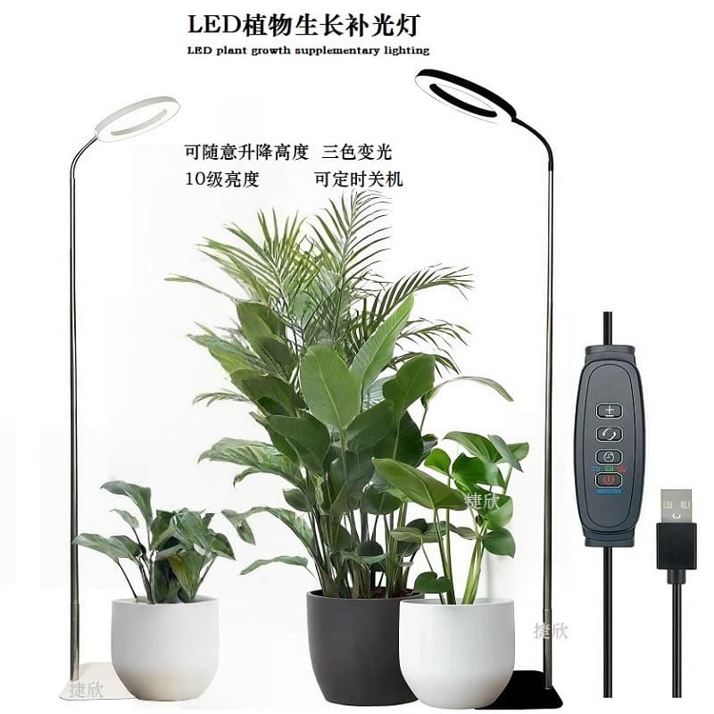6-inch LED Angel Ring Plant Light with Full Spectrum for Indoor Potted Plants and Factory Direct