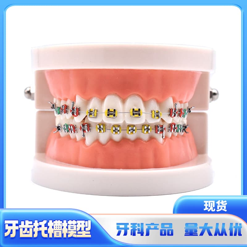 Other Oral Care Products - Dental Retainer Case