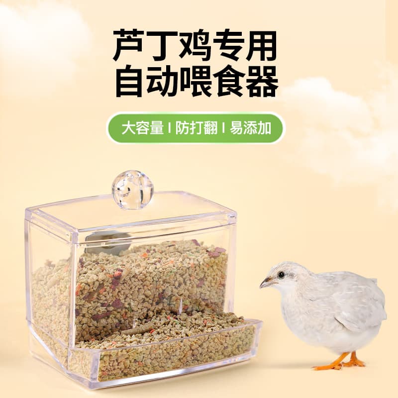 Rutin chicken feeder automatic chicken food box trough food basin food tank feed box feed drinking water feeder wholesale