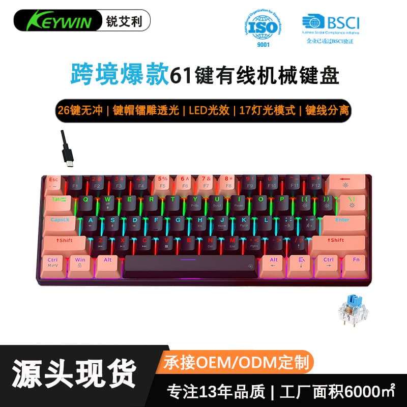 Rui Ai Li G61 Wired Gaming Mechanical Keyboard TYPE-C Blue Switch LED Computer Office Gaming Mechanical Keyboard