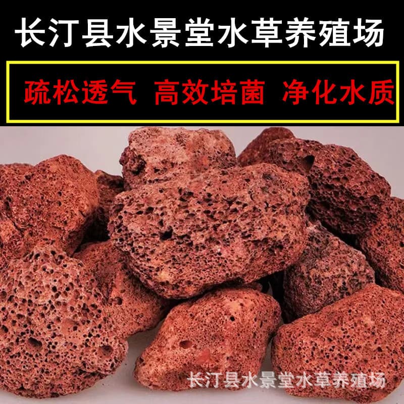 Free Shipping Volcanic Stone for Horticultural Succulent Plants Volcanic Stone Fish Tank Aquarium Filter Material Grass Tank Landscaping Porous Volcanic Stone