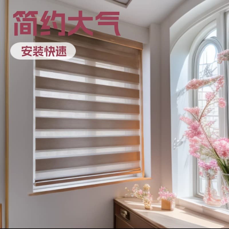 Strictly Selected Soft Sheer Curtain No-Drill Manual Electric Curtain Bathroom Bedroom Double-Layer Waterproof Sunshade Roller Zebra Blind