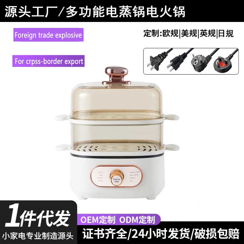 Cross-border Amazon 110V Electric Steamer Household Multi-function Electric Hot Pot Small Appliance Steam Pot Breakfast Maker Electric Cooking Pot