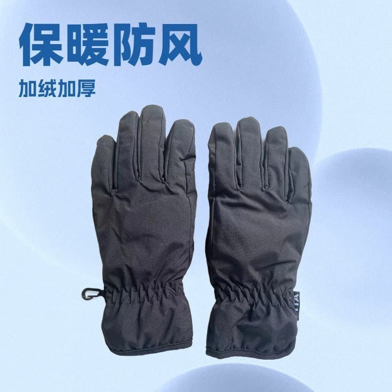 Windproof gloves (25-01)