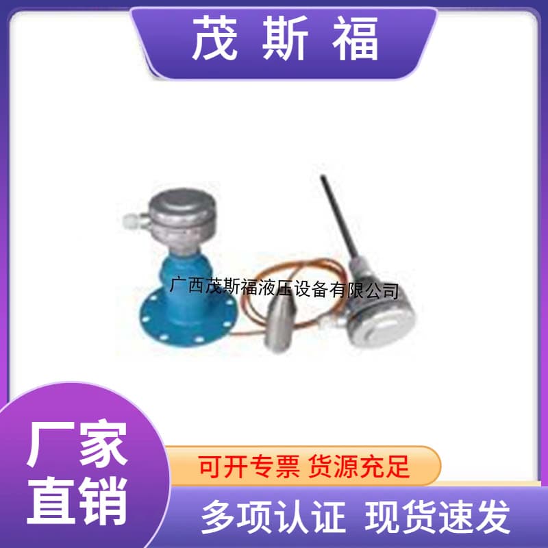 HFW-BQ Integrated Insertion Capacitive RF Level Transmitter - RF Level Gauge
