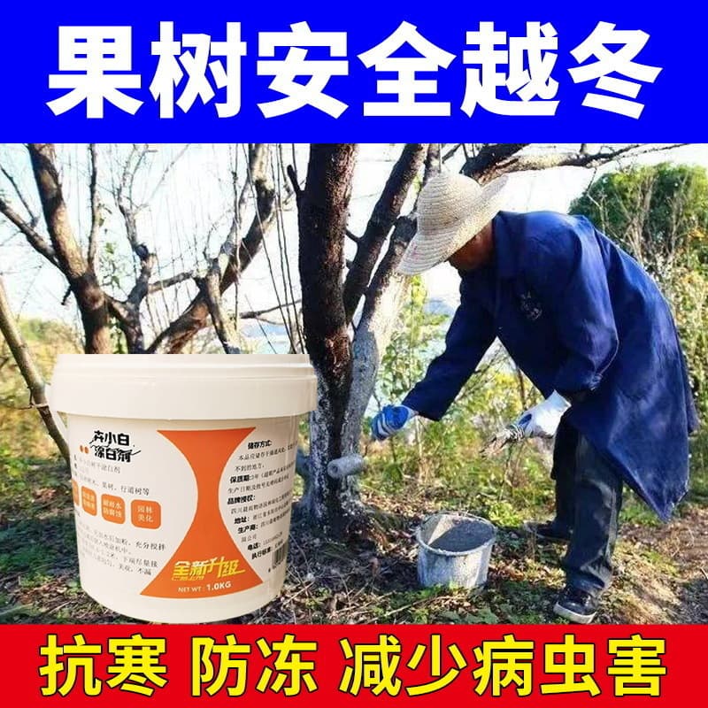 Fruit tree trunk whitewash for large trees, garden cleaning, egg killing, frost damage prevention, and protection against sunscald and gnawing.