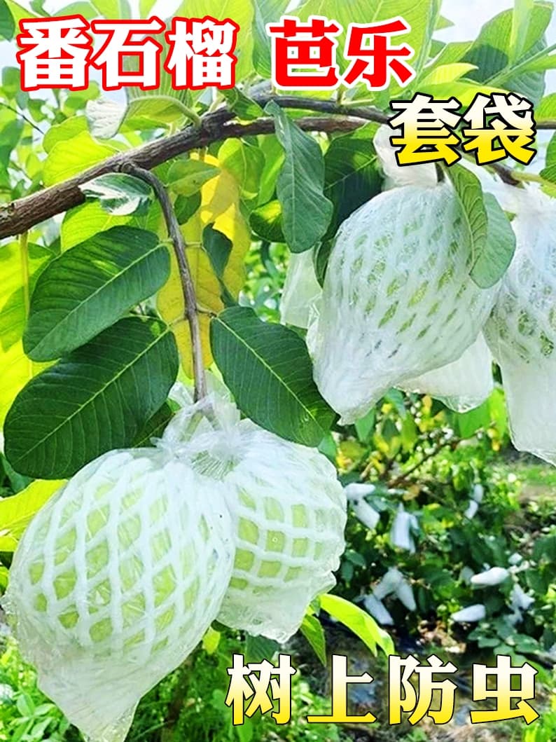 Guava bags, mesh bags, guava fruit insect-proof protective bags, fruit bags, pomegranate bag net sleeves.