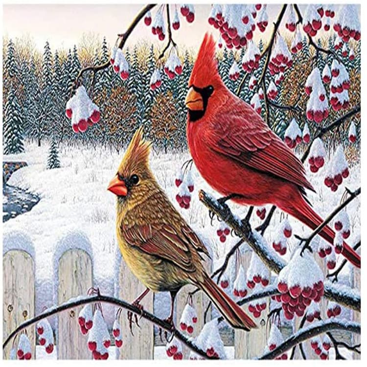 5D Diamond Painting Kit for Adults, Round Diamond Painting Red Finch Embroidery Rhinestone Painting Full Drill Diamond