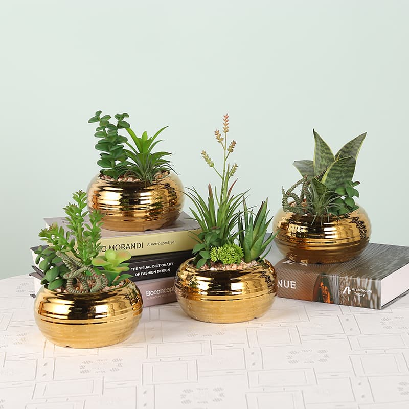 Gold pot simulation green plant cactus aloe vera fake potted tabletop living room decoration plant wall decoration decoration wholesale