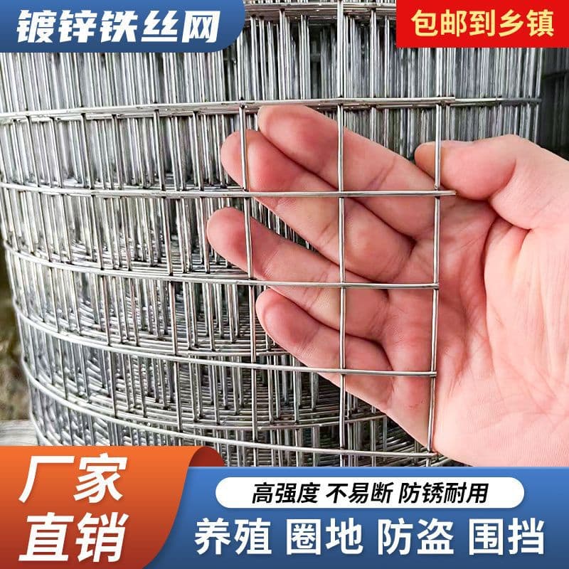 Wire Mesh Galvanized Fence Net Steel Wire Thickened Breeding Poultry Net Rust-proof Balcony Protective Net Rodent Proof Net