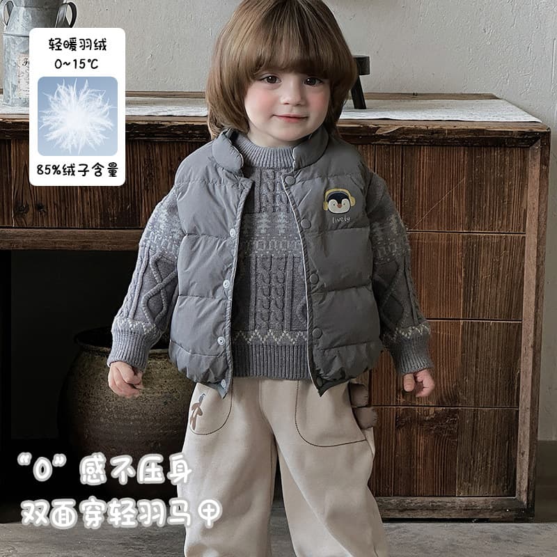 Boys' Down Vest Lightweight Reversible 2025 Autumn/Winter New Infant Warm Vest Class A Baby Outerwear