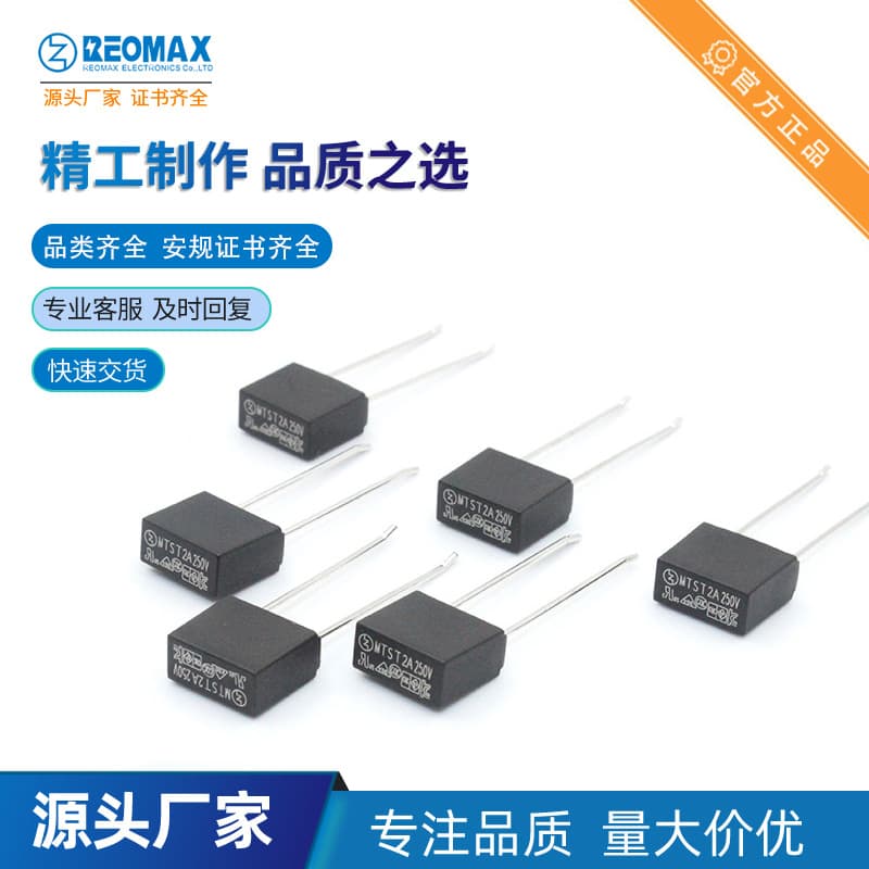 TMS T1A350V T2A T3.15A T5A Slow-Blow Square Plastic Encapsulated Plug-in Fuse Ruimai Factory Direct Supply