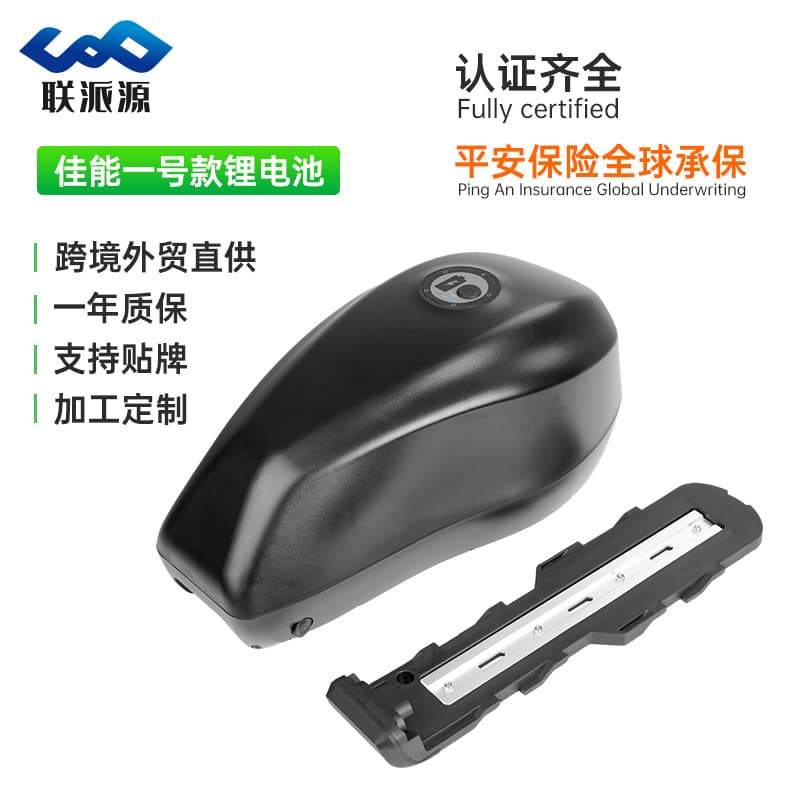 Canon No.1 48V30AH Lithium Battery Electric Bicycle RX Retro Electric Vehicle Overseas Warehouse Drop Shipping Long Range