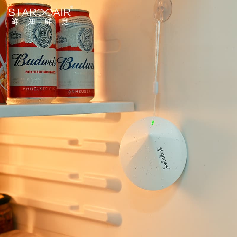 Giant Change, Factory Stock Ozone Sterilization and Odor Removal Device, Mini Portable Refrigerator Deodorizer Purifier