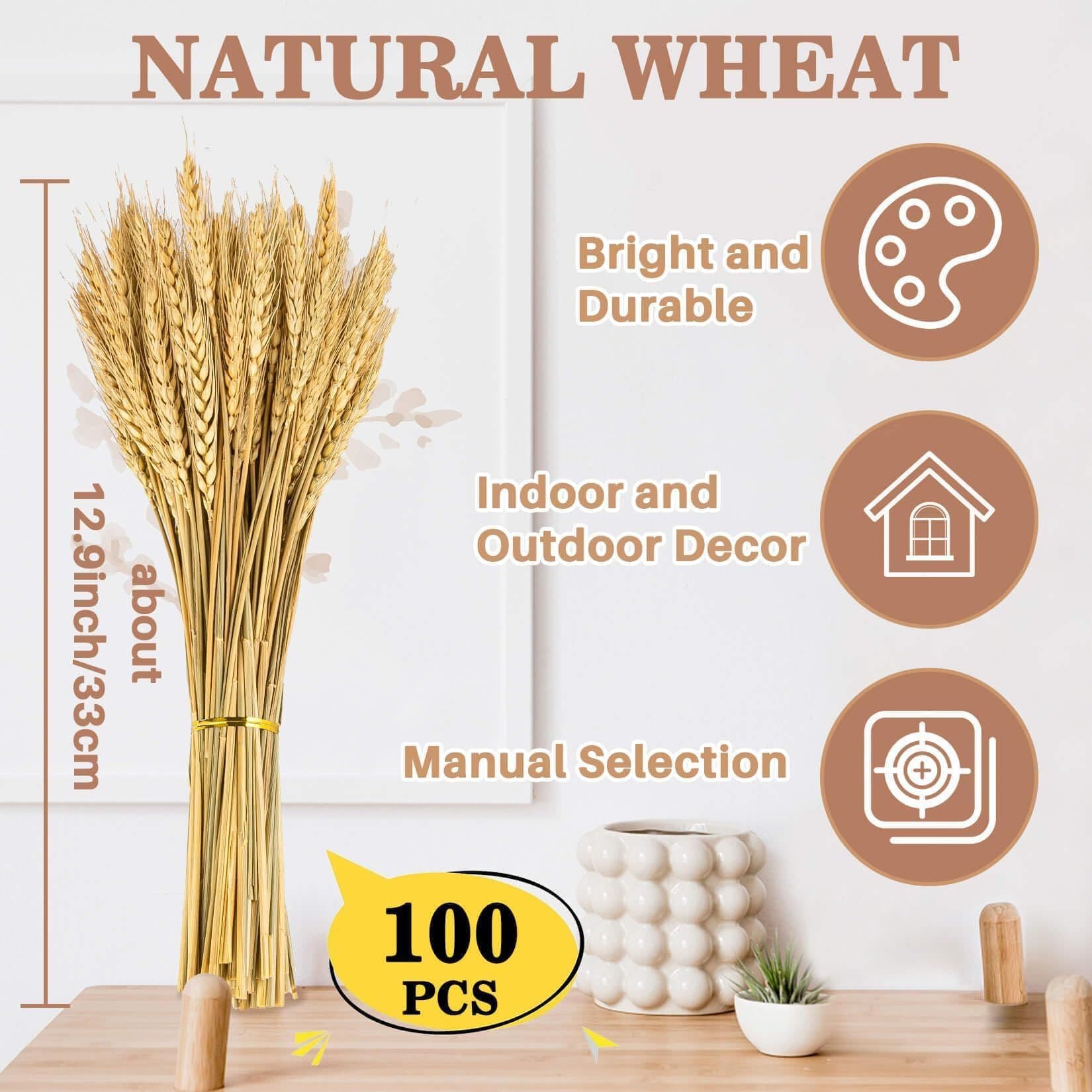 Amazon Hot Selling Natural Wheat Dried Flower Bouquet Golden Barley Home Decoration Dried Real Flowers Cross-border Drop Shipping