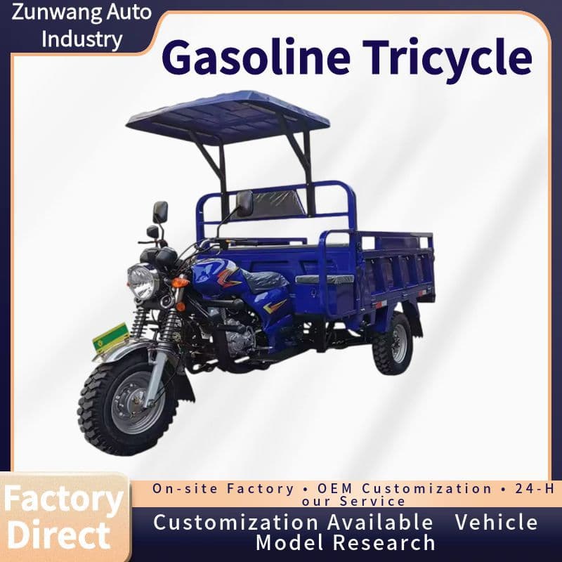 Cross-border Africa Hot-selling Fuel Three-wheeled Motorcycle Cargo Heavy-duty King Gasoline Tricycle Source Tricycle Factory