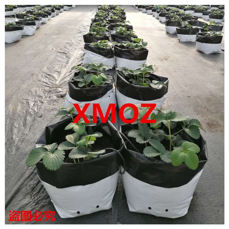 Factory in-stock, soilless cultivation specialized black and white perforated planting bags, fruit and vegetable seedling grow bags