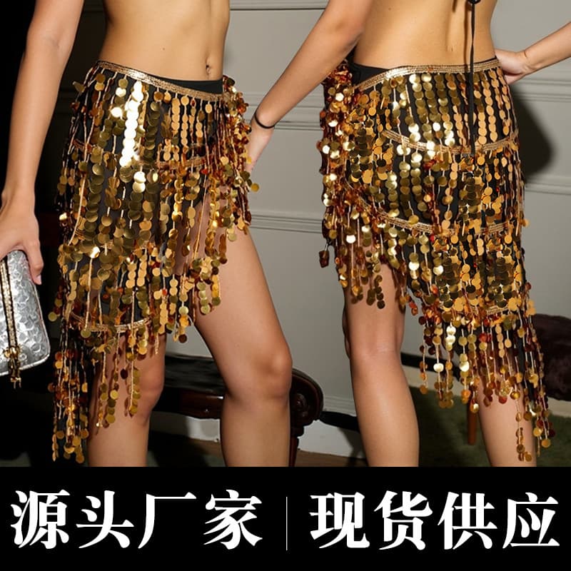 Festive Party Costume Belly Dance Hip Scarf, Indian Dance Waist Ornament, Sequined Fringe Performance Hip Scarf