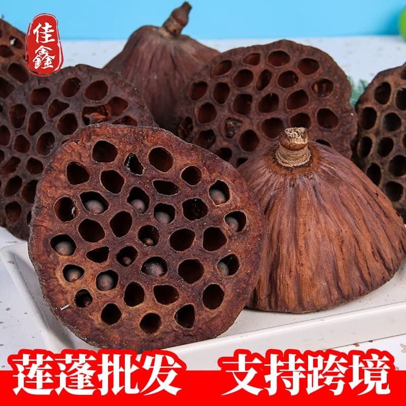 Dried Lotus Pods, Home Decor Display, Photo Props, Flower Arrangement Wholesale, Large Lotus Pod Crafts
