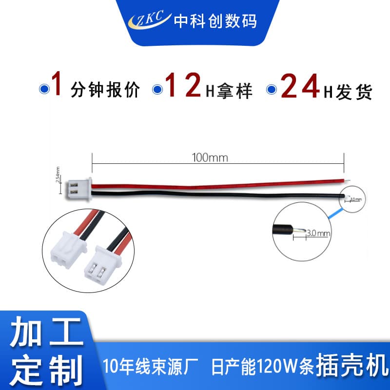 Customized 1.0/1.25/1.5/2.0/2.54/3.96 red and black terminal wire XH terminal wire 2P terminal wire harness