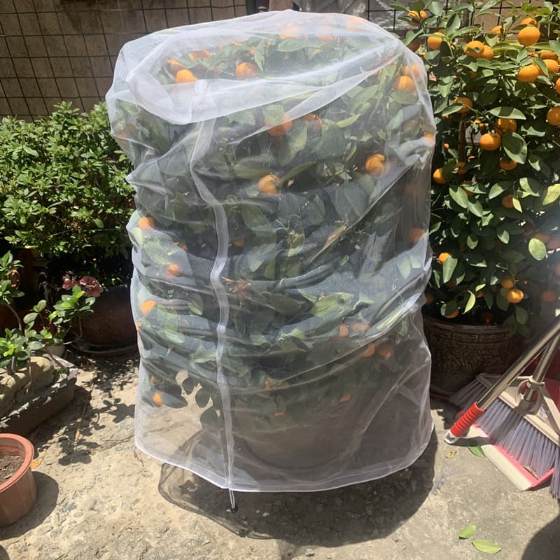 Landscape Tree Insect Net, Plant Insect Net Bag, Drawstring Closure Insect Bag, Fruit and Flower Insect Net, Bird Net Cover