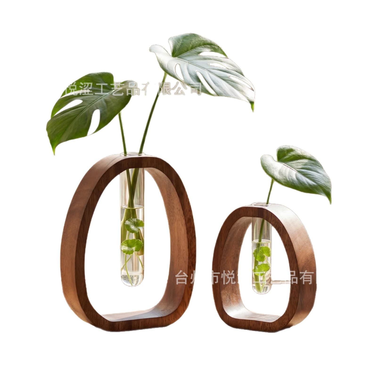 Cross-border South American Walnut Wangshu Flower Vessel Desktop Hydroponic Vessel Effortless Plant Care Study Room Style Wooden Craft