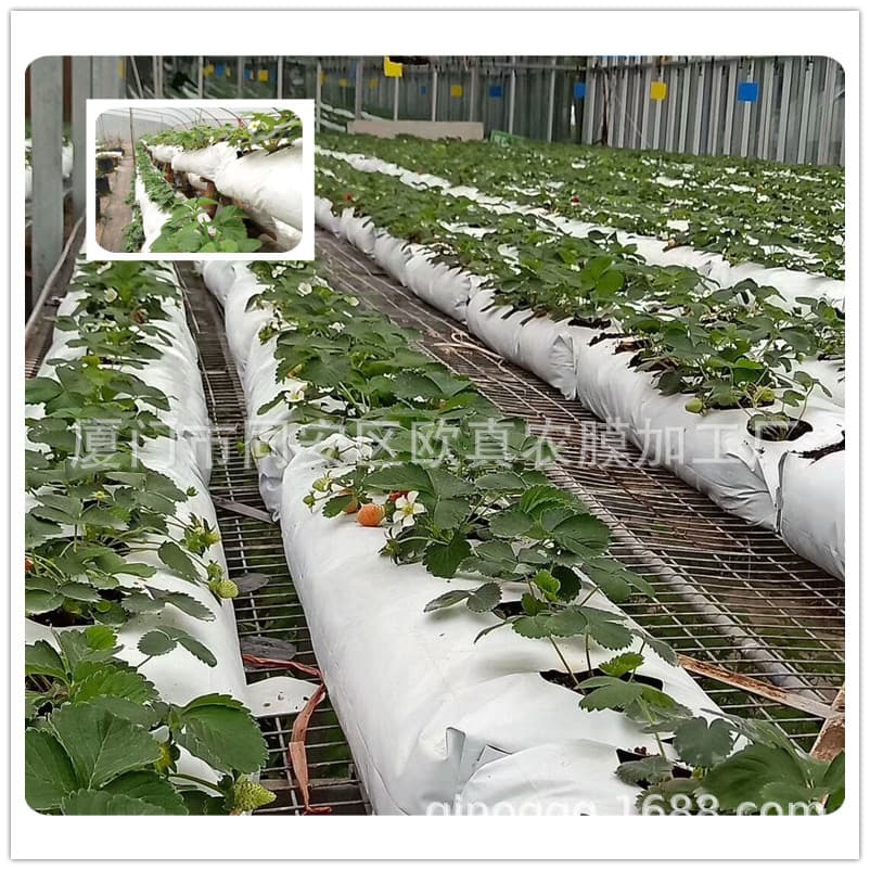 Factory Direct Thickened Black and White Film Planting Bag, Soilless Cultivation Long Substrate Bag, Melon and Vegetable Cultivation