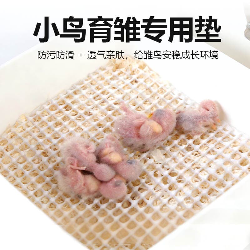 New Latex Mat for Baby Birds to Prevent Leg Deformities and Protect Feet, Parrot Droppings Mat, Supplies for Baby Cockatiels