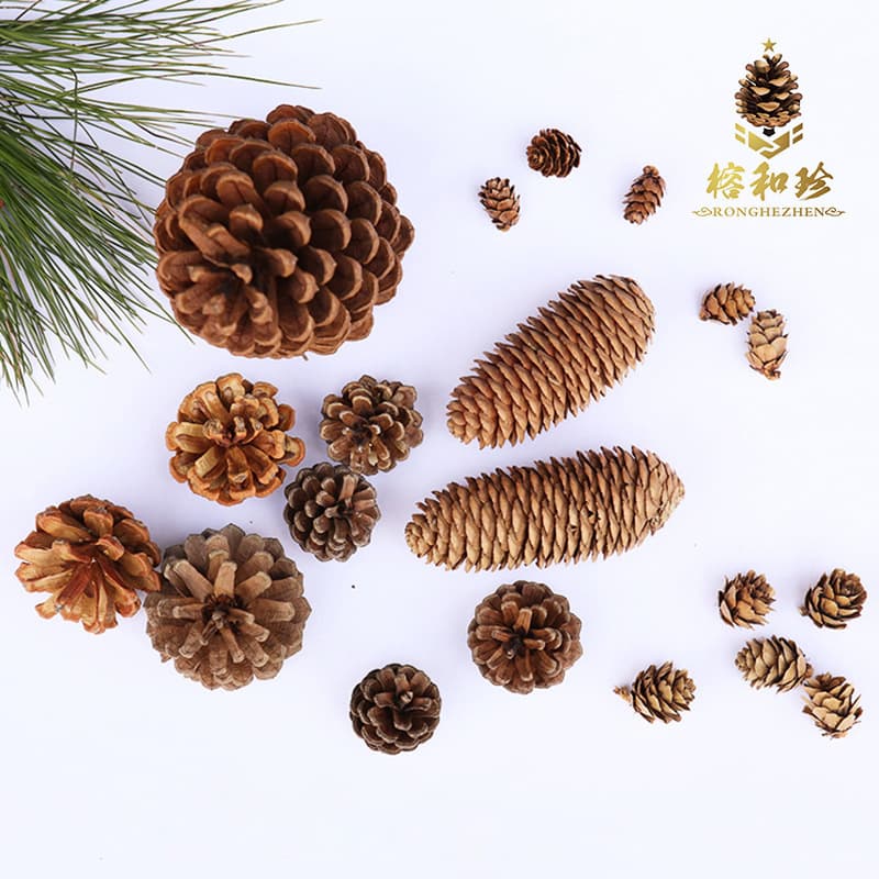 Dried pine cones, natural handicraft raw materials, souvenirs, dried pine cones, dried flowers, decorative wood, oil pine cones