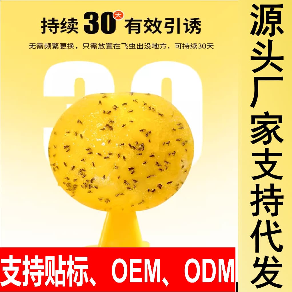 Fly Attractant Balls Non-toxic Home Use for Kitchen and Bathroom, Cross-border Hot Seller