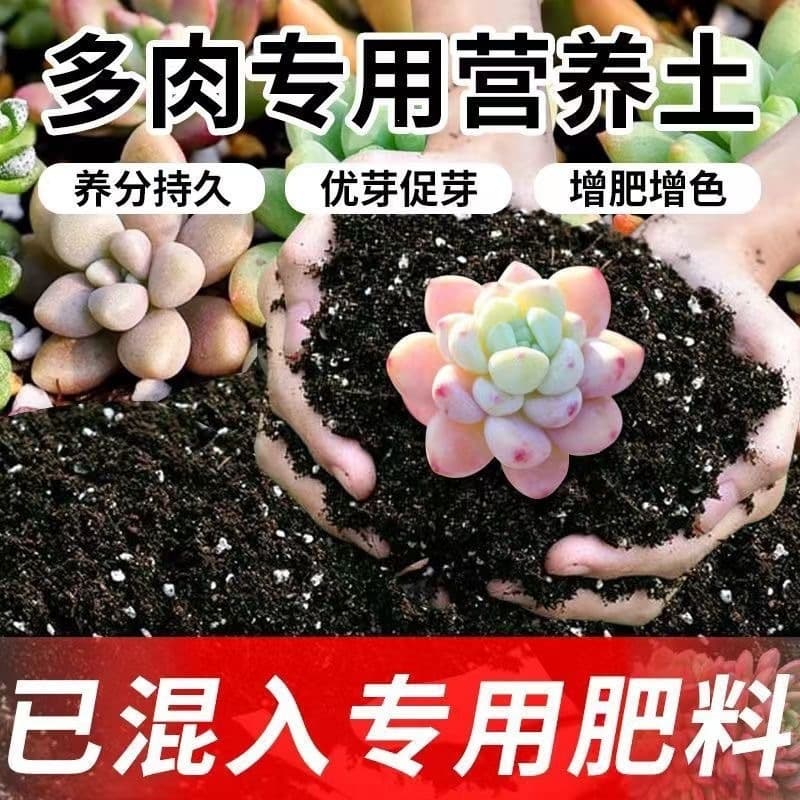Spring breathable potted cultivation substrate with water absorption, suitable for succulents, flowers, vegetables, and various plants
