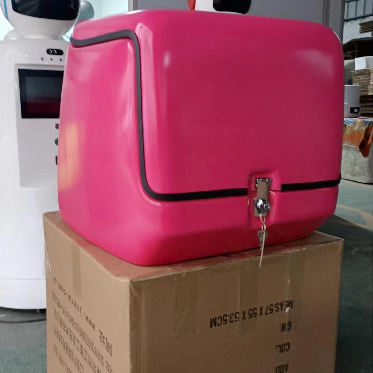 Jiangzhi Motorcycle Tail Box Delivery Box Food Delivery Box Regional Agency