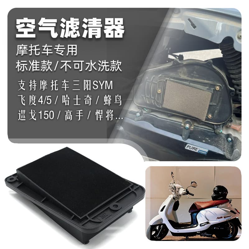 Sanyang Scooter Husky Husky Adv Xs150T-12 Air Filter Element
