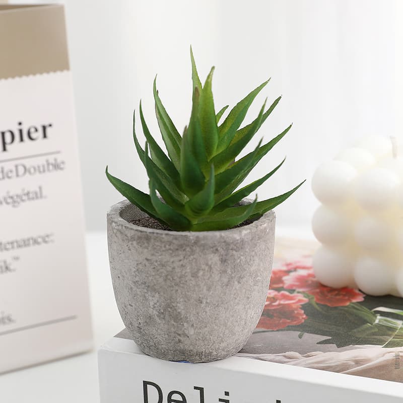 In Stock Artificial Succulent Plant Pot Set, Paper Pulp Mini Desktop Decor, Amazon Best Seller