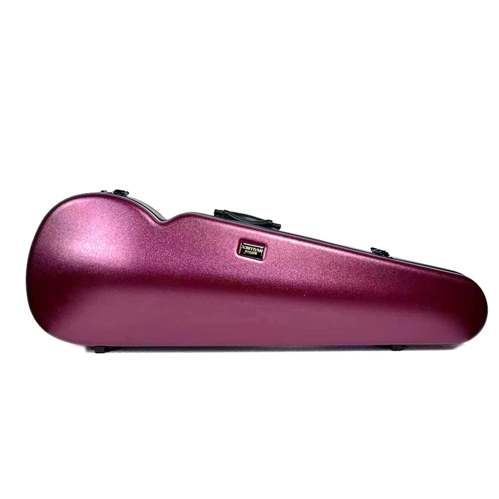 Violin case factory violin case pressure-resistant and scratch-resistant PC triangular hard box multi-color export best-selling violin case