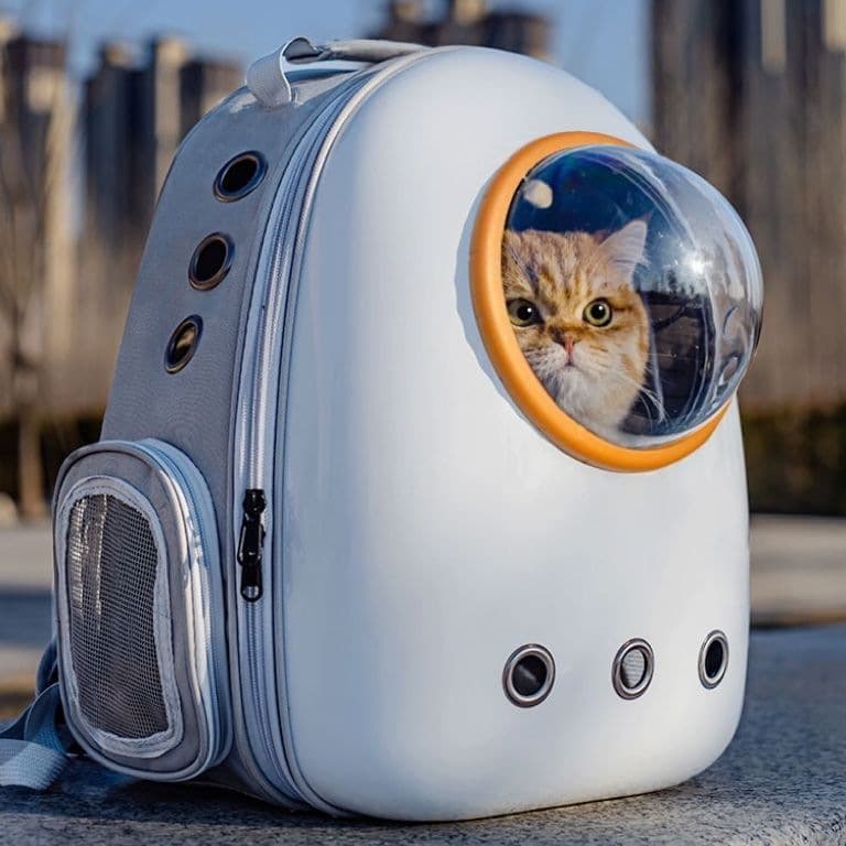 Cat bag, portable bag, transparent space capsule, backpack, cat bag, large capacity dog bag, pet supplies