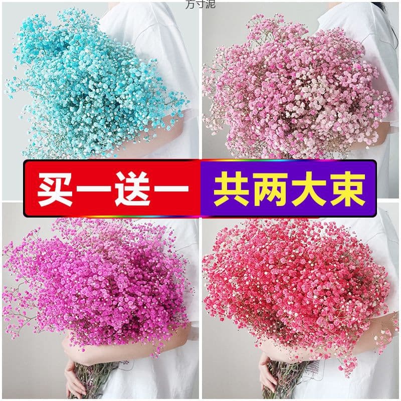 Wholesale Bulk Dried Baby's Breath Bouquet, Real Yunnan Flowers, Forget-Me-Not, Living Room Dried Flower Arrangement, Bulk Supply