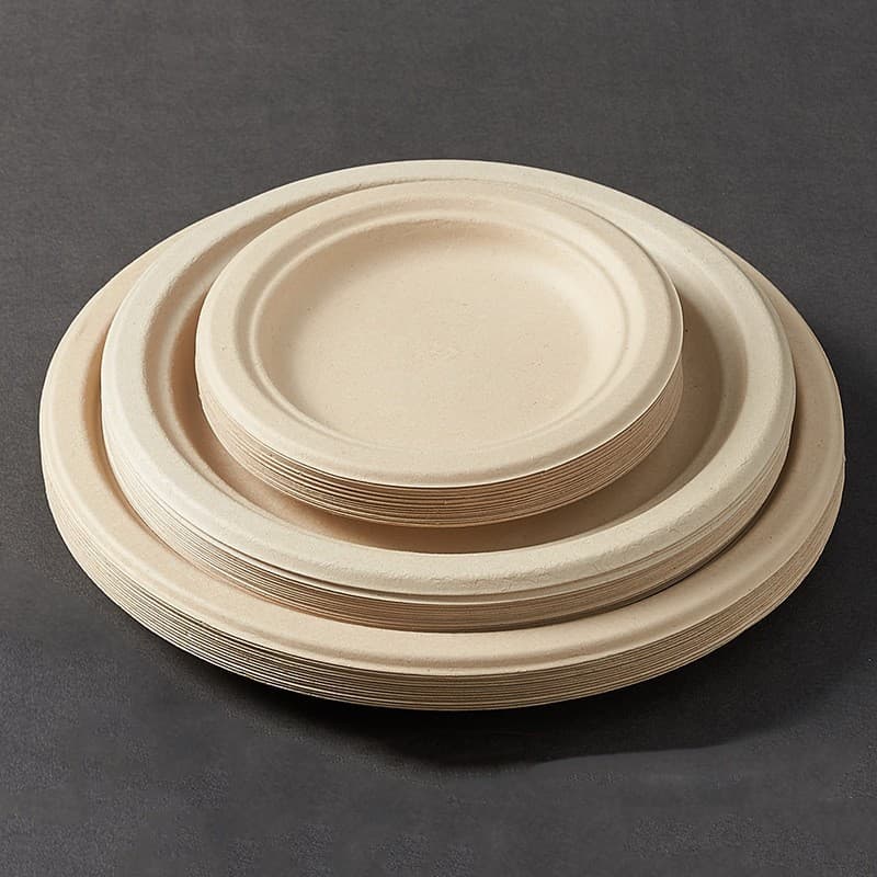 Disposable plates, picnic paper plates, eco-friendly and biodegradable dishes for serving food and barbecue (square, oval shapes)