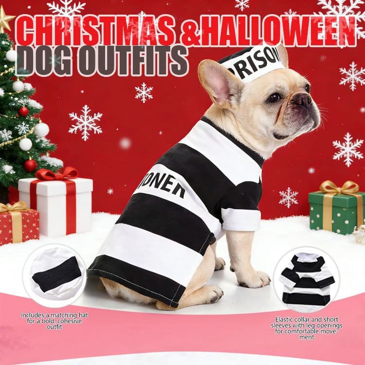 Amazon Hot Selling Pet Costume Santa Dog Clothes Halloween Pet Costume Pumpkin Costume Wizard Costume