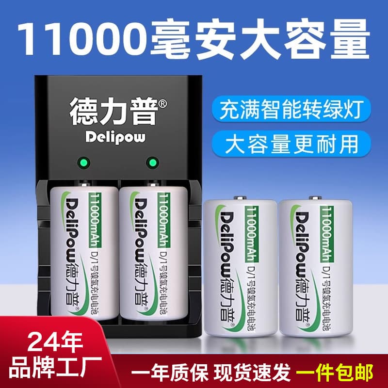 Delipow Size D Battery Charging Kit D-Type Rechargeable Battery Size 1 for Water Heater Gas Stove Emergency Light Battery