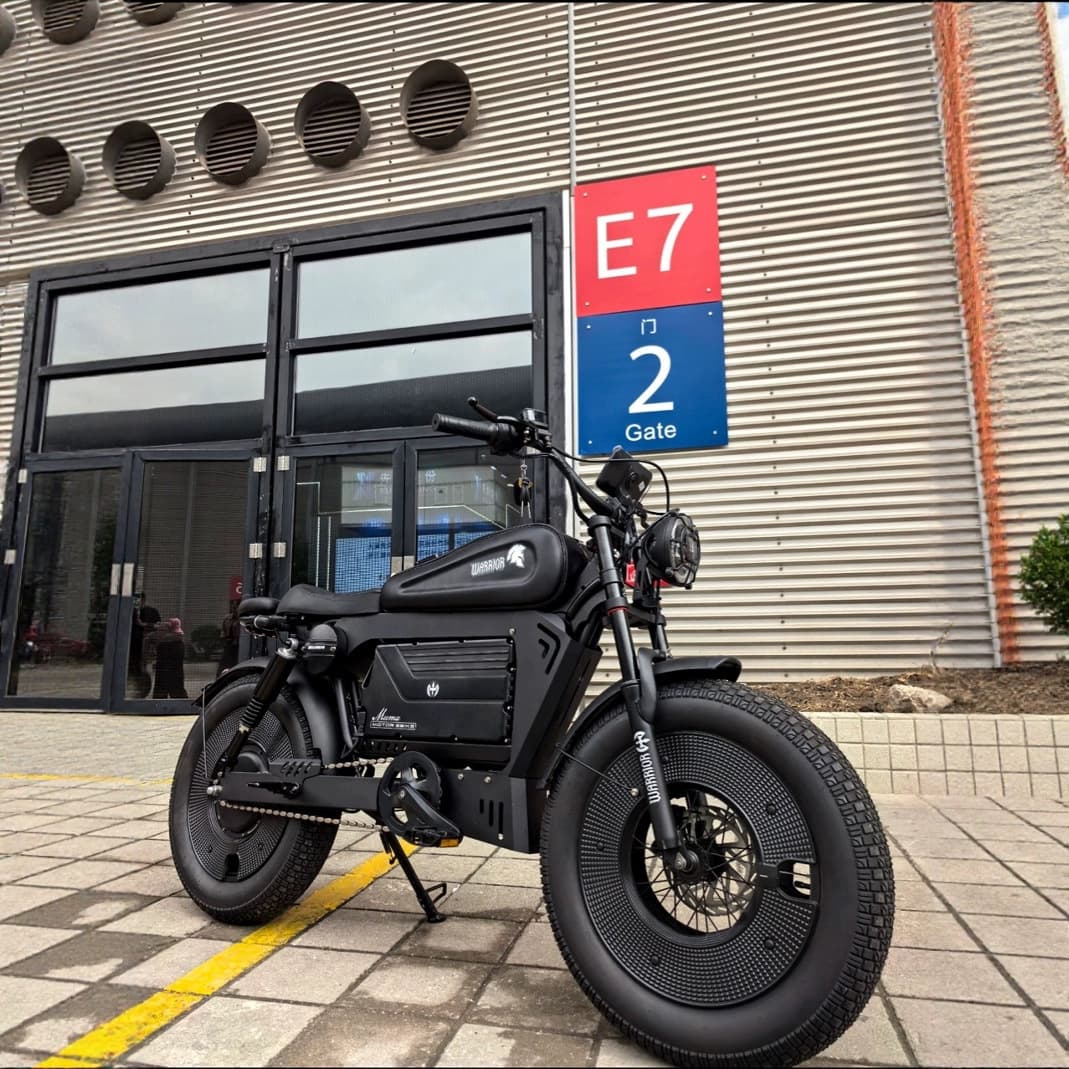 Cross-border Black Warrior lithium battery assisted electric bicycles, motorcycles, off-road fat tire snow bikes, shipped under European and American contracts