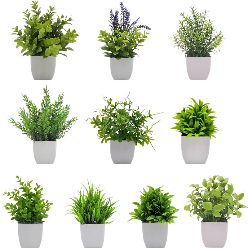 Amazon Cross-Border Wholesale Simulation Mini Potted Plant Home Decor Eucalyptus Lavender Bonsai 10-Piece Set