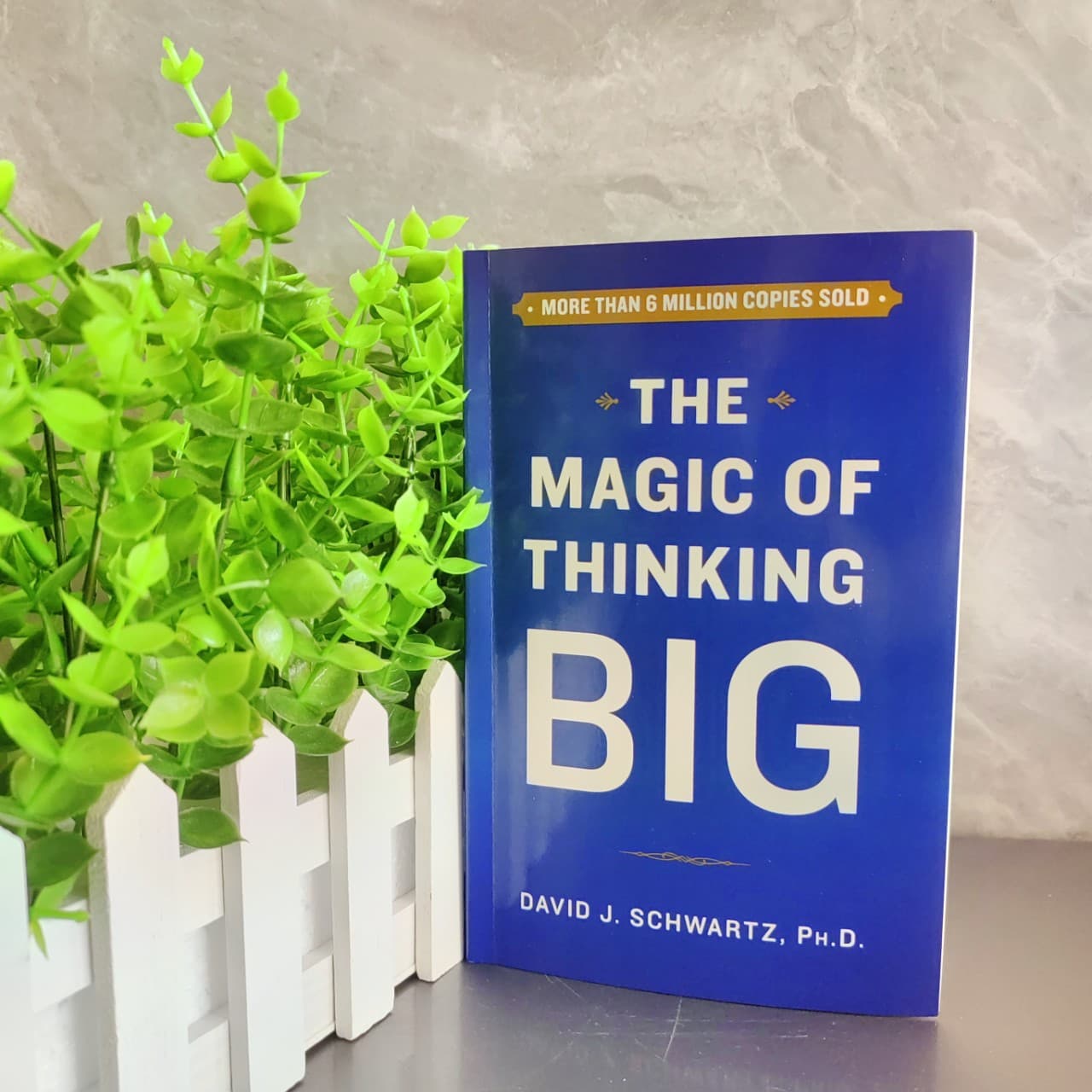 The Magic of Thinking Big