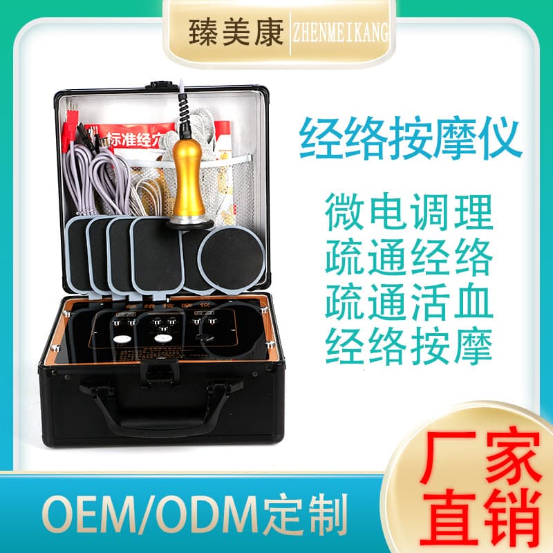 DDS Meridian Massage Same as Physical Store Health Bioelectric Multifunctional Electrotherapy Device Physiotherapy Health Care Device