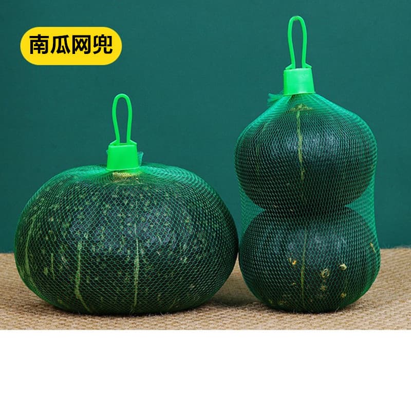 Pumpkin Net Bag Walnut Ham Sausage Food Watermelon Ginger Crab Plastic Net Bag Wholesale Free Shipping China