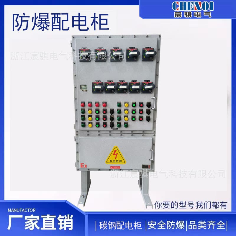 Explosion-Proof Power Lighting Distribution Cabinet, PLC Control Instrument Cabinet, Touchscreen Heat Dissipation Frequency Conversion Cabinet.