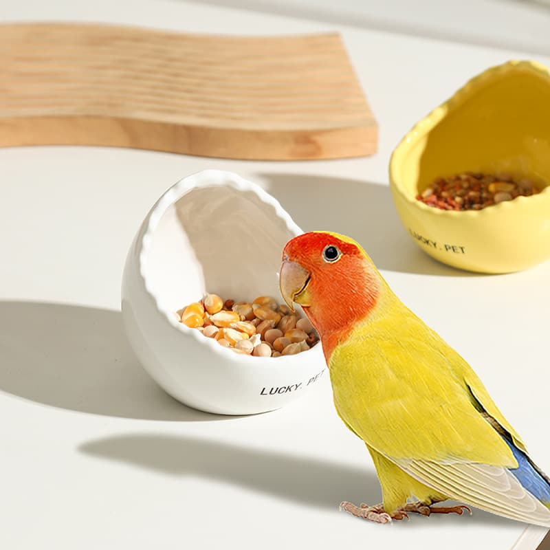 Ceramic Feeder Bird Trough Eggshell Parrot Lovebird Bowl Bird Feeder Pet Food Bowl Food and Water Fun Bird Feeding
