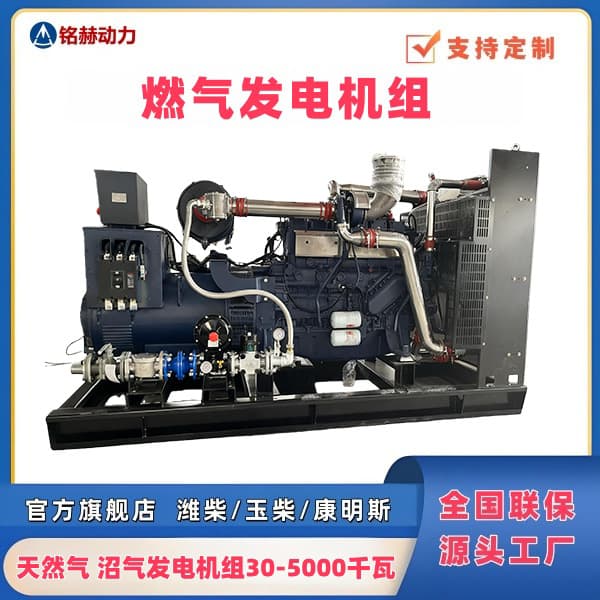 250kw 300kw Gas Generator Pipeline Natural Gas Power Generation Mining Computing Center Data Center Special