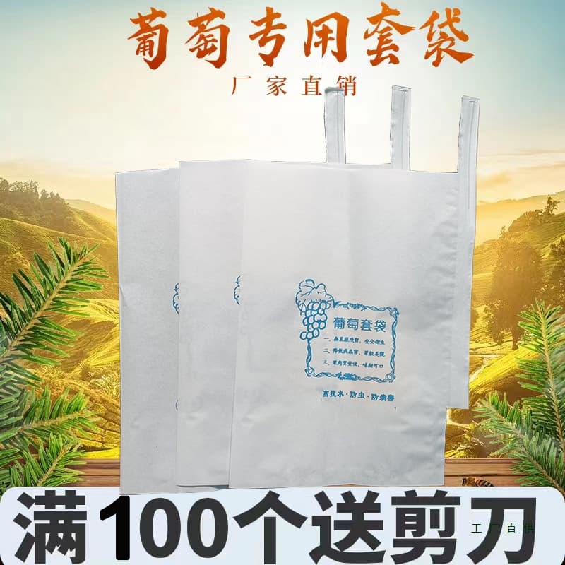 Grape Protection Bags, Grape Bags Rainproof Insect and Bird Proof Grape Bags Protective Bags for Grapes Disease Prevention