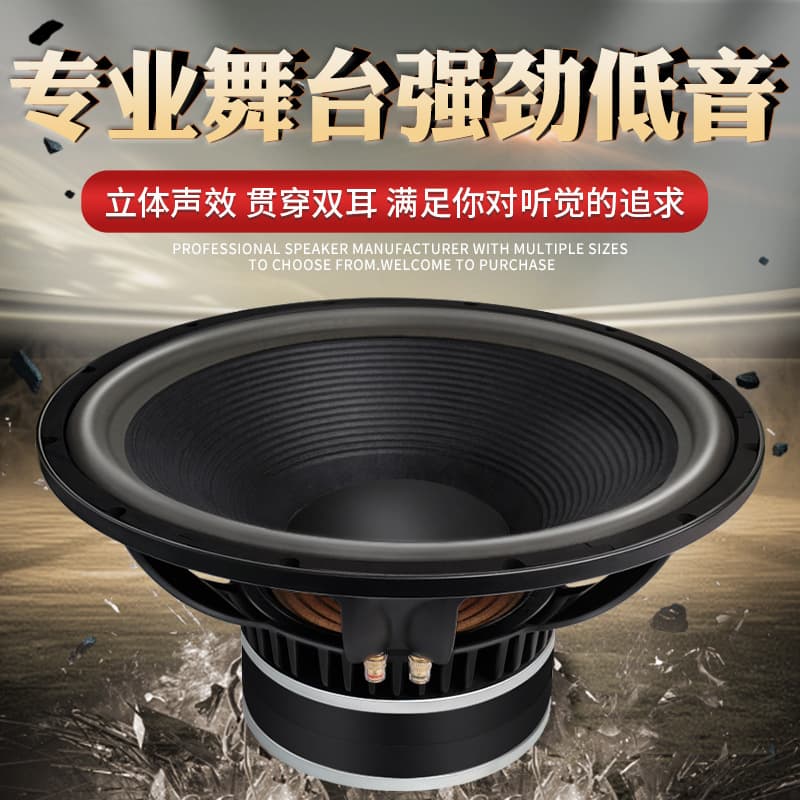 Fine Song Source 18 Inch Subwoofer High Power Home Karaoke Home KTV Cinema K Song Sound Speaker